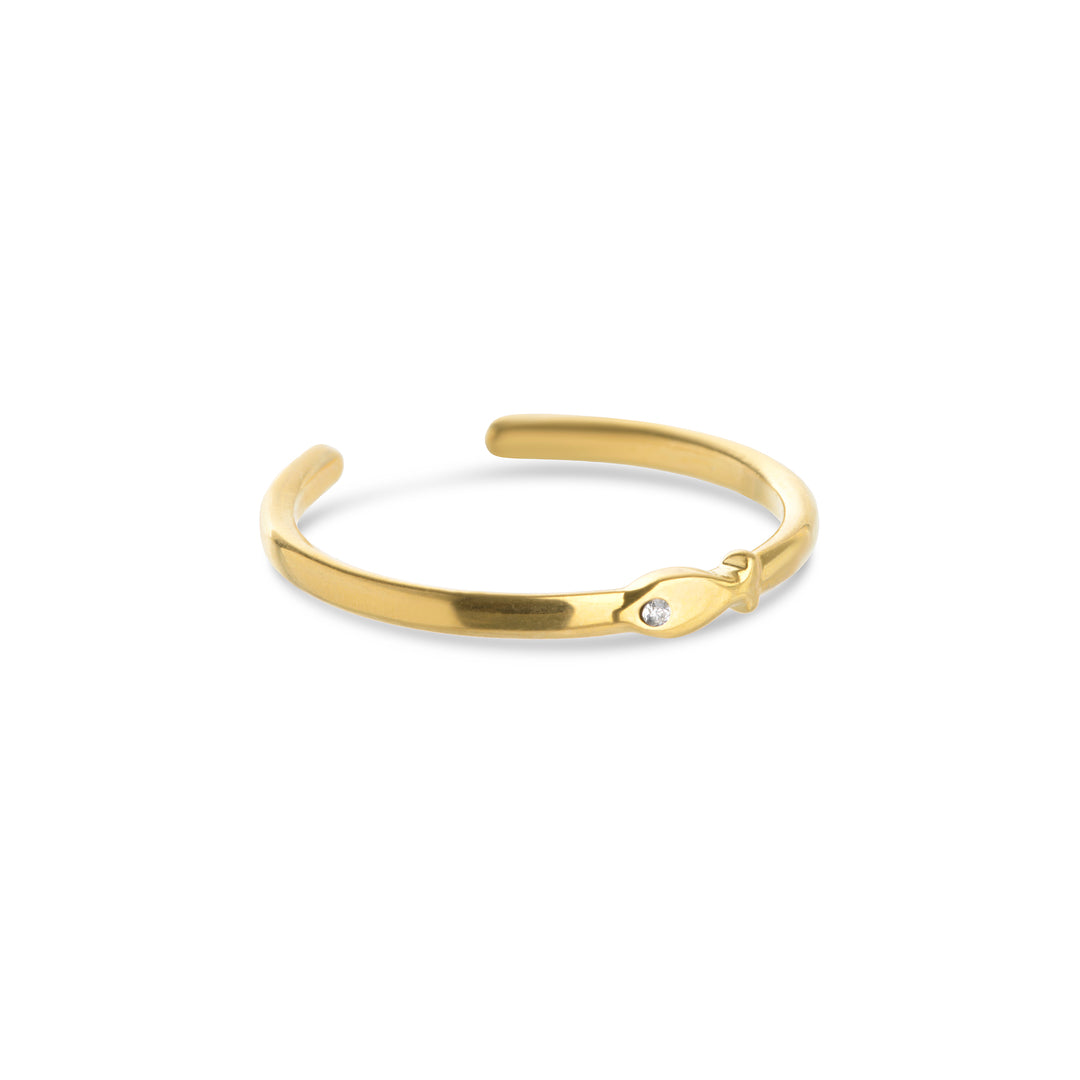 Aruba - Fish Ring Stainless Steel