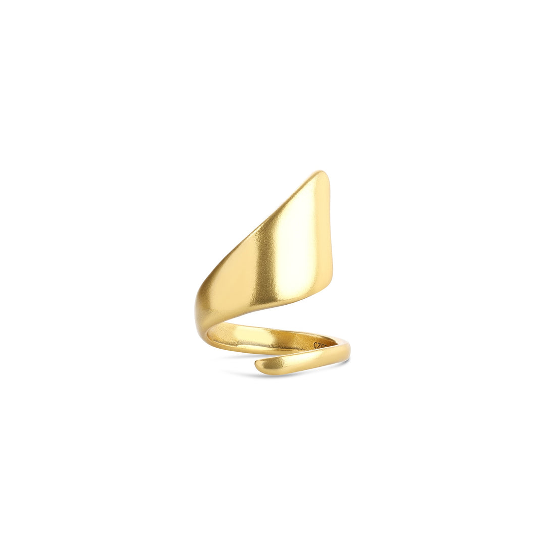 Ban - Sculptural Wrap Ring Stainless Steel